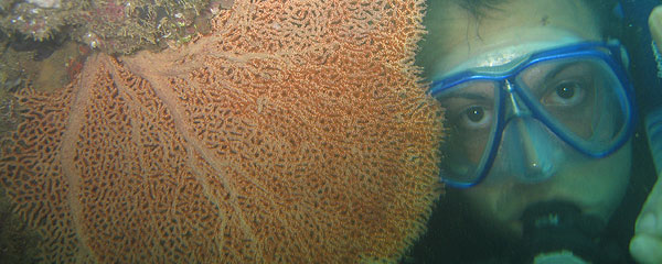 Adventure Trips by Outdoor Adventures Costa Rica © by OA:modio